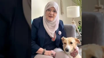 قصة حب استثنائية.. تفاصيل رحلة شمس البارودي وحسن يوسف بين دمشق والقاهرة